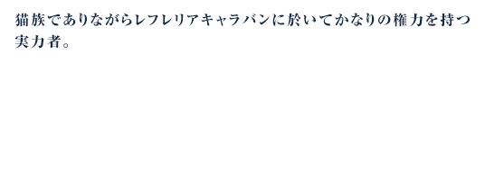 猫族でありながらレフレリアキャラバンに於いてかなりの権力を持つ実力者。