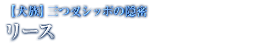 【犬族】三つ叉シッポの隠密 リース