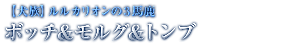 【犬族】ルルカリオンの３馬鹿 ボッチ＆モルグ＆トンブ